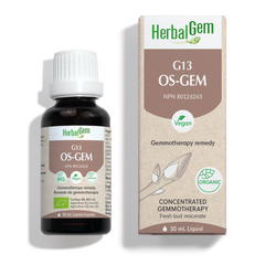 G13 OS-GEM