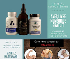 Trio testostérone avec livre numérique