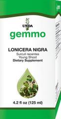 Lonicera nigra