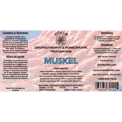 MuSkel