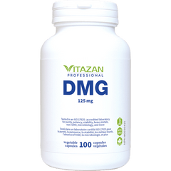 DMG