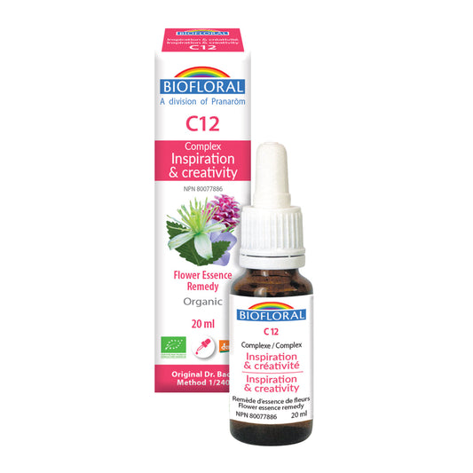 Complexe 12 - Inspiration, créativité