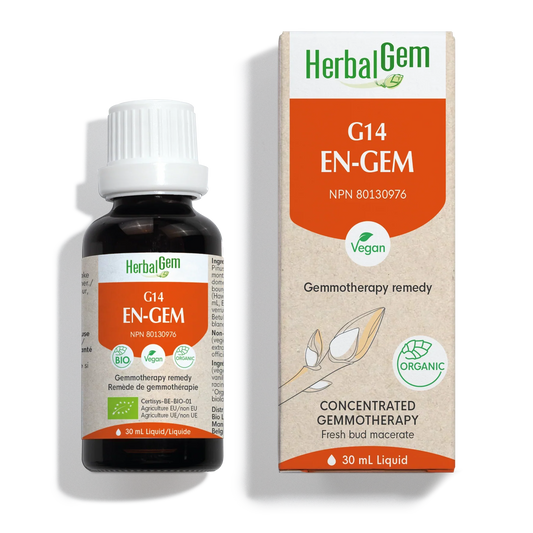 G14 EN-GEM