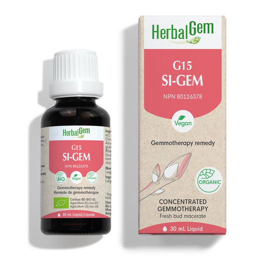 G15 SI-GEM