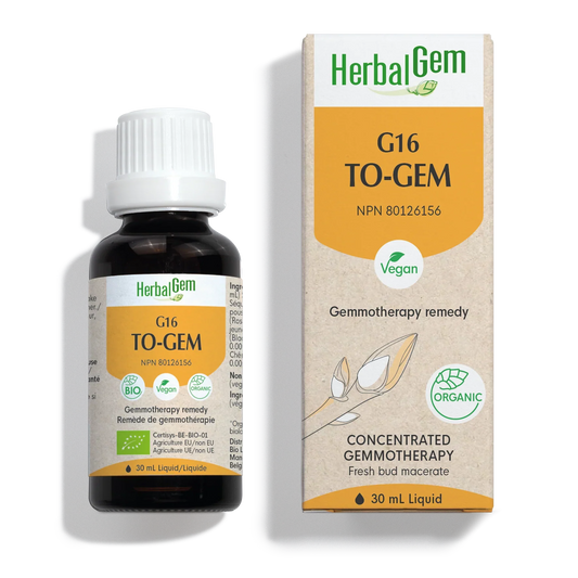 G16 TO-GEM
