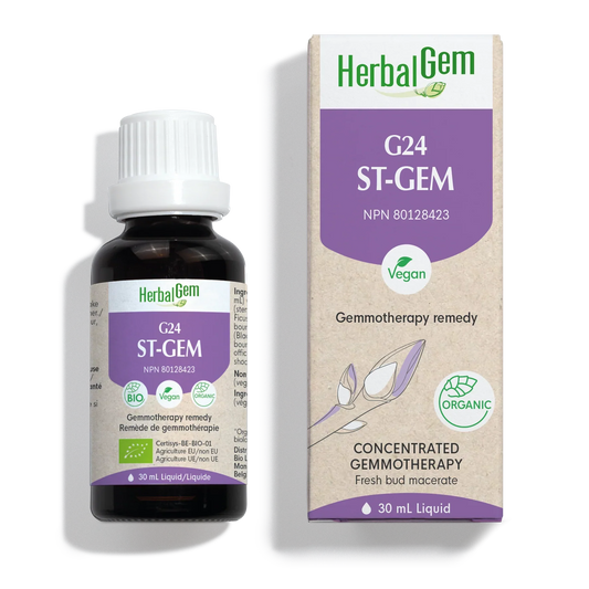 G24 ST-GEM