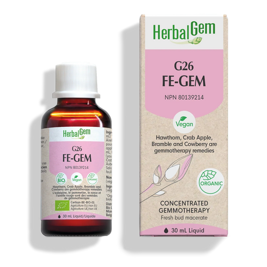G26 FE-GEM