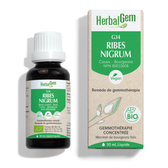 G34 - Ribes Nigrum - cassis