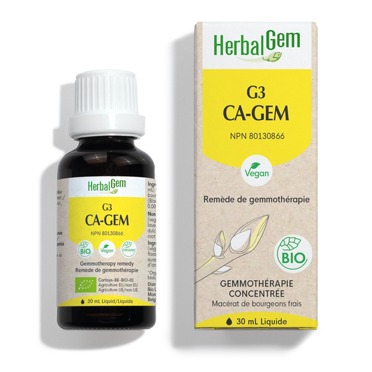 G3 CA-GEM
