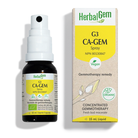 G3 CA-GEM