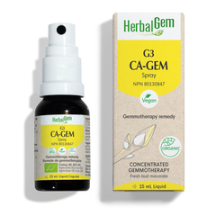 G3 CA-GEM