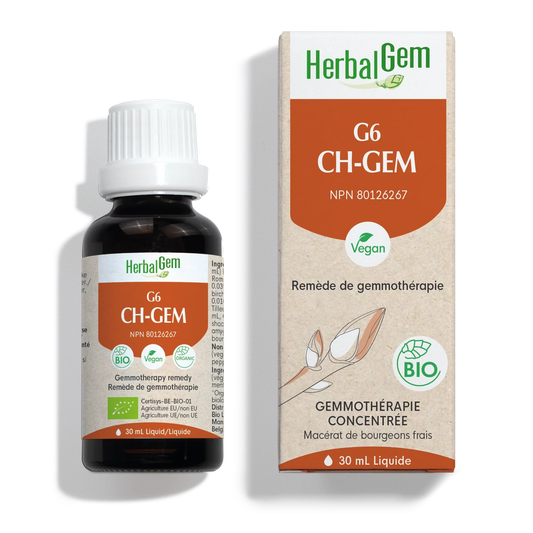 G6 CH-GEM