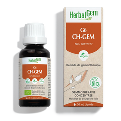 G6 CH-GEM