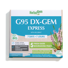 G95 DX-GEM EXPRESS - 7 jours