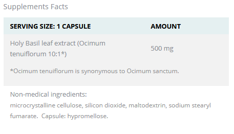 Basilic Sacré