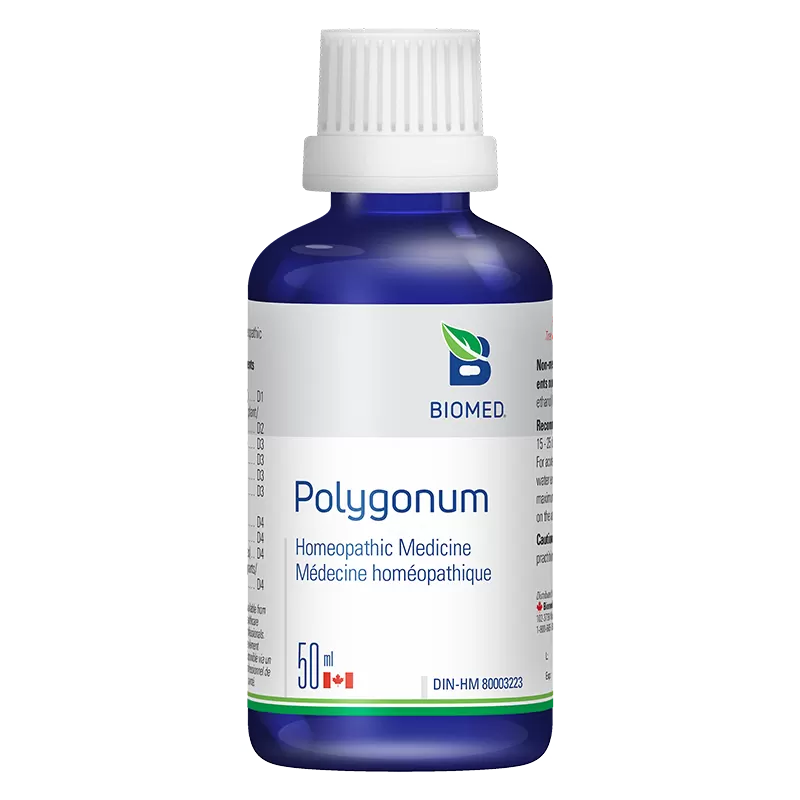 Polygonum