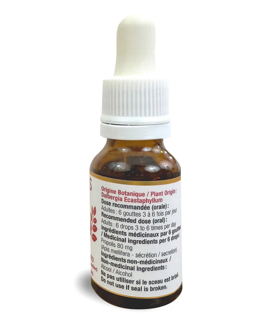 Propolis rouge de Dalbergia en goutte