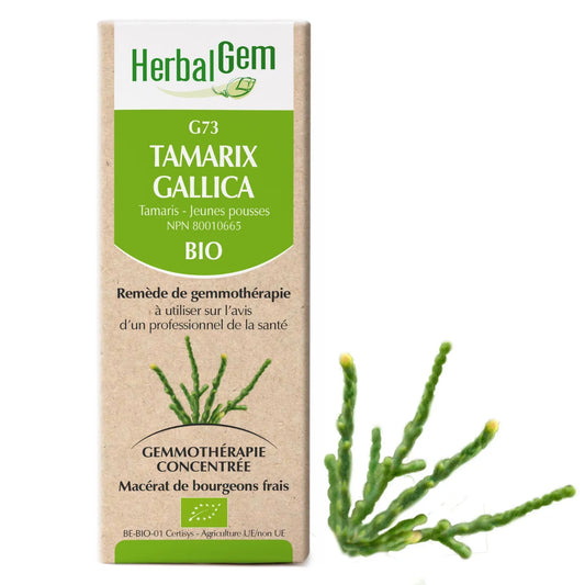 G73 - Tamarix gallica - Tamaris