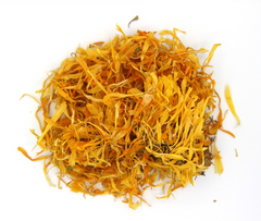 Calendule - Fleur coupée