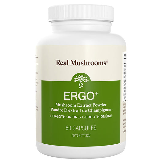 Ergo+