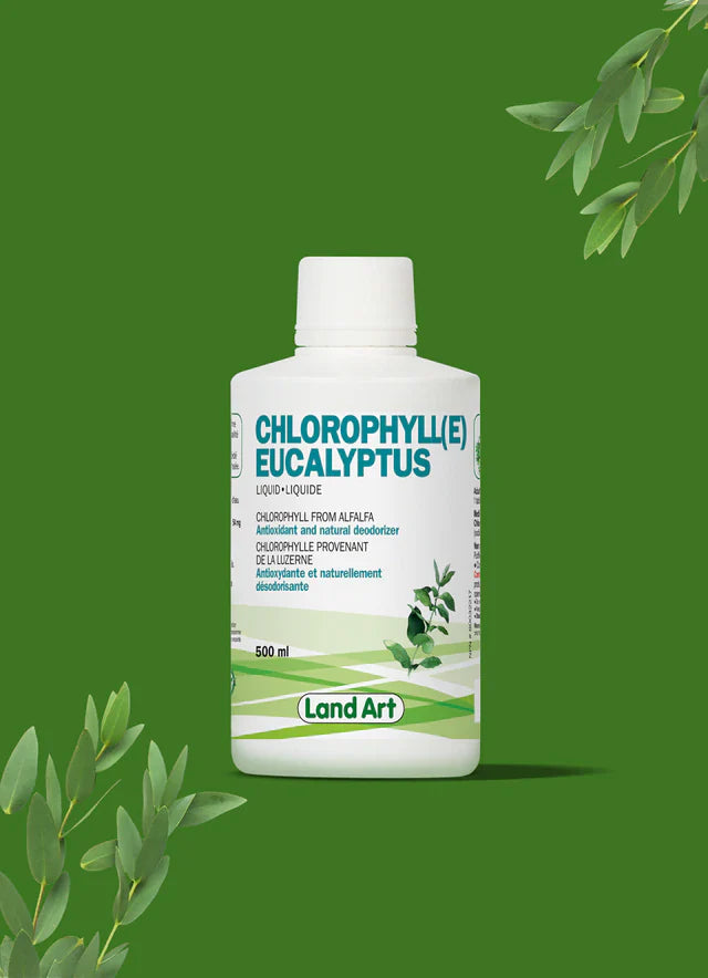 Chlorophylle Liquide