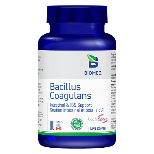 Bacillus Coagulans