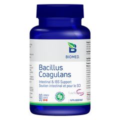 Bacillus Coagulans