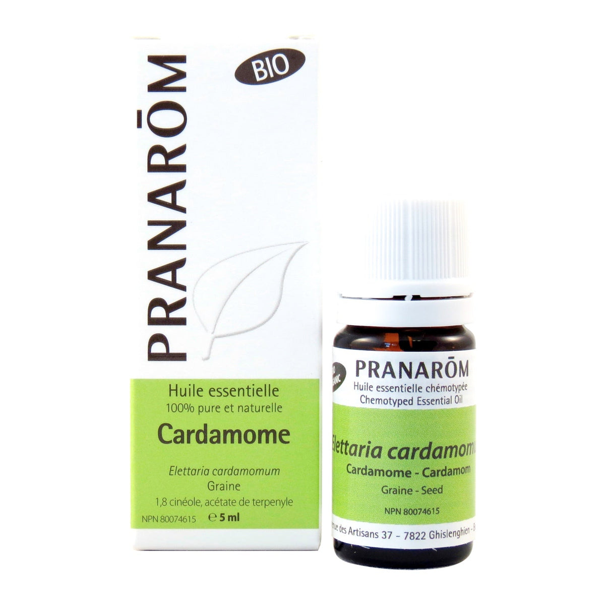 Cardamome