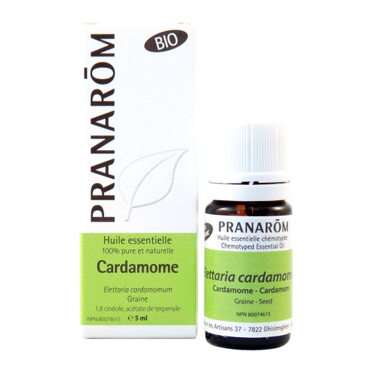 Cardamome