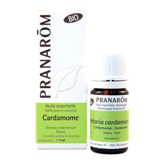 Cardamome