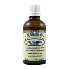 Échinacée