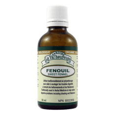 Fenouil