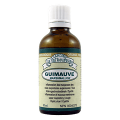 Guimauve