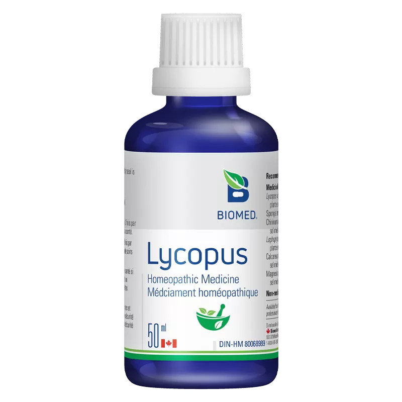 Lycopus