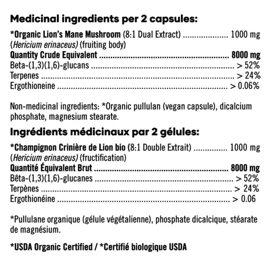 Lion's Mane (FOCUS Now)